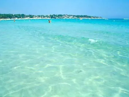 Santa Pedra *